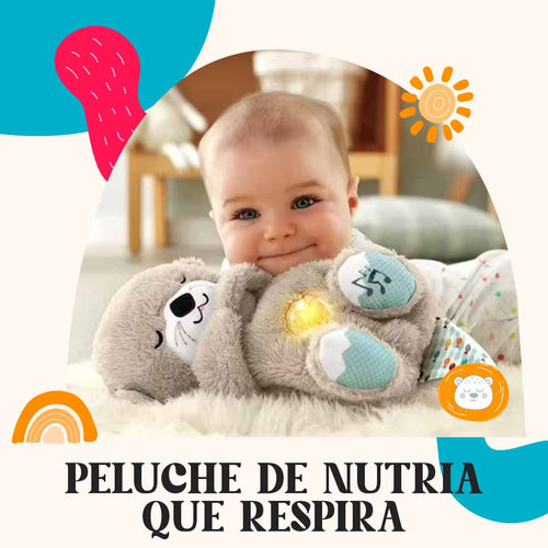 nutria borrador