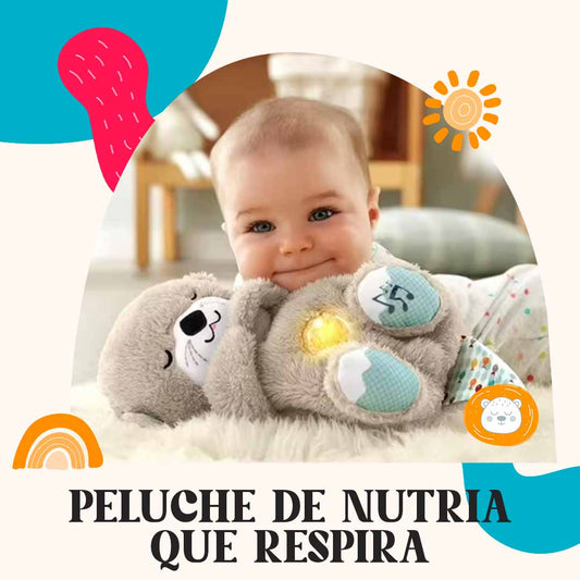 nutria borrador